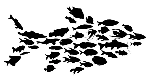 Komplexa svart isolerade fisk — Stock vektor