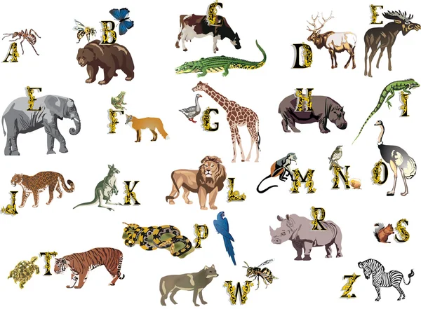 Cor animais alfabeto —  Vetores de Stock