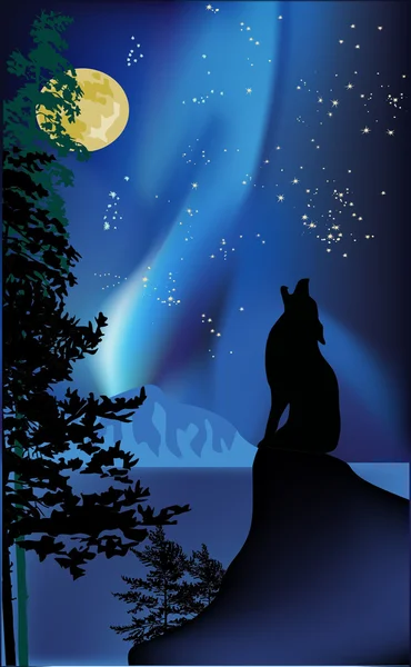 Howling wolf on rock at aurora — Stock Vector