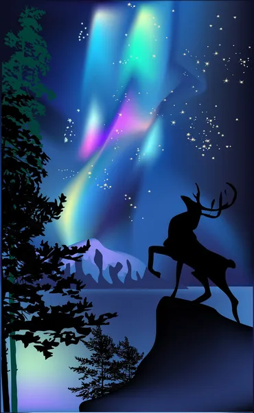 Ciervos bajo ilustración aurora — Vector de stock