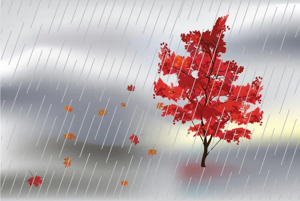 Árvore de bordo queda vermelha sob chuva — Vetor de Stock