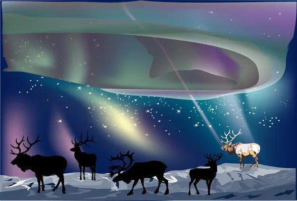 Cerfs sous aurore illustration — Image vectorielle