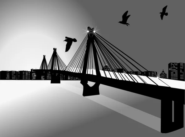 Stora natt bridge och måsar — Stock vektor