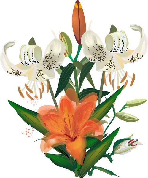 Orange and lily flowers bouquet — Stock Vector