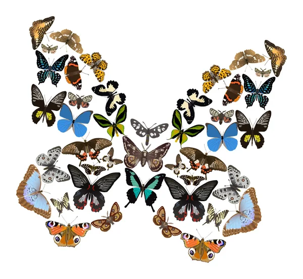 Barevné motýly ilustrace — Stockový vektor