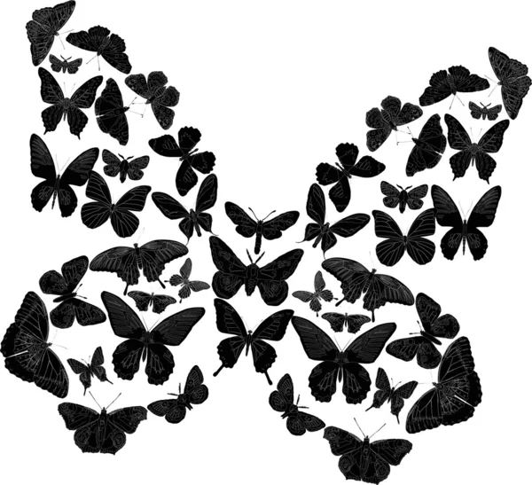 Beyaz üstüne siyah karmaşık kelebek — Stok Vektör