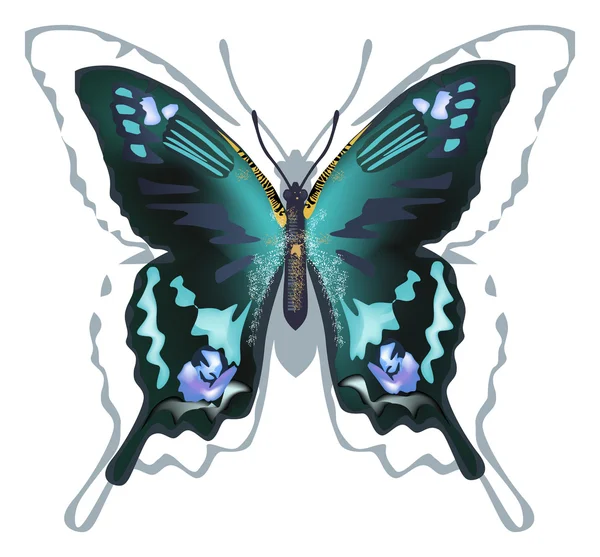 Abbildung eines schwarzen und blauen Schmetterlings — Stockvektor