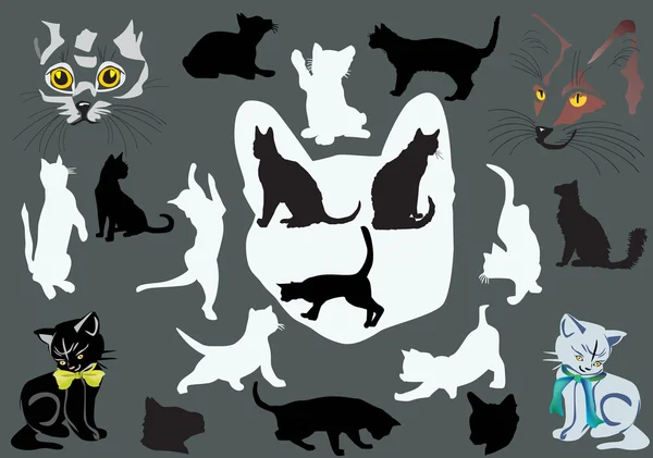 Set of cat portraits and silhouettes — Stock Vector