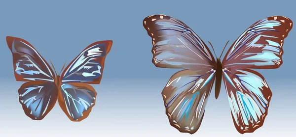 2 블루와 갈색 나비 — 스톡 벡터
