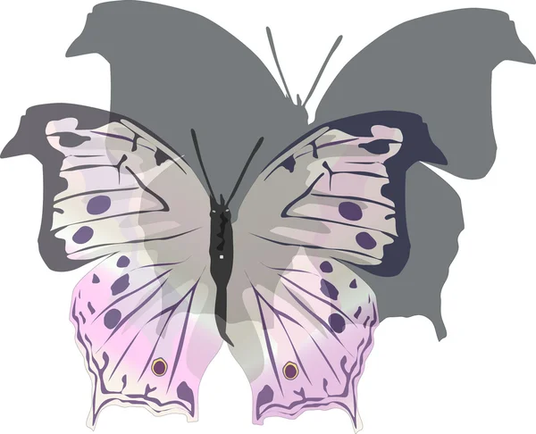 Rosa Schmetterling und Schatten isoliert auf weiß — Stockvektor