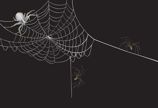 Три павутини і павутина на темряві — стоковий вектор