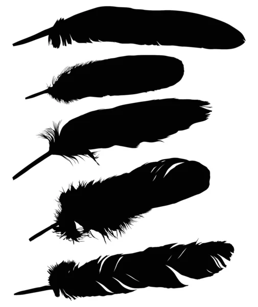 Five black feathers collection — Stock Vector