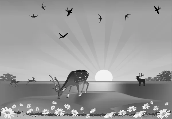 カモミール フィールドの灰色の鹿 — ストックベクタ