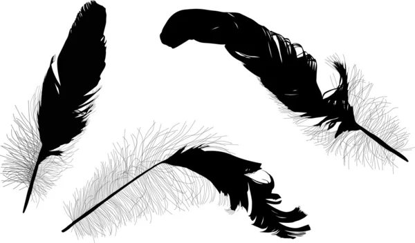 Illustration med tre svarta fjädrar — Stock vektor