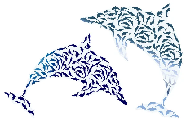 Två komplexa dolphin silhuetter isolerad på vit — Stock vektor