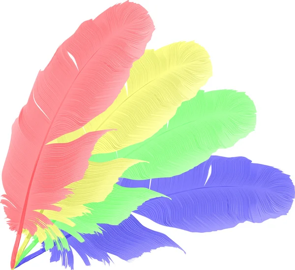 Cuatro plumas de arco iris aisladas — Vector de stock