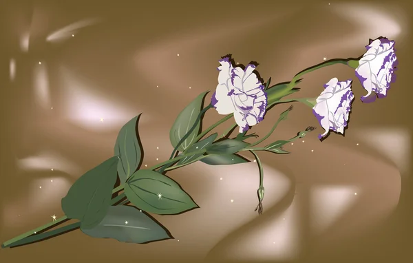 Illustration weißer und lila Blüten — Stockvektor