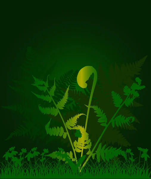 緑の草にシダの茂み — ストックベクタ
