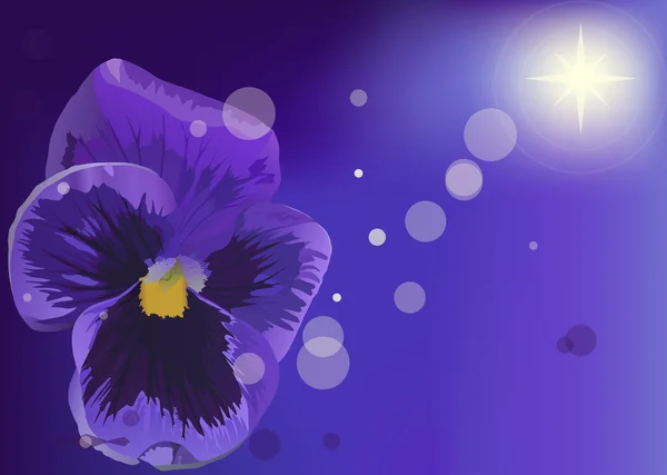 Violette kleur bloem op achtergrond wazig — Stockvector
