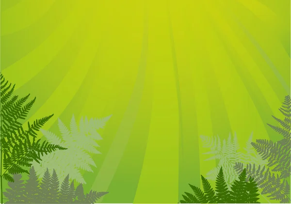 Green fern under sun illustration — Stock Vector