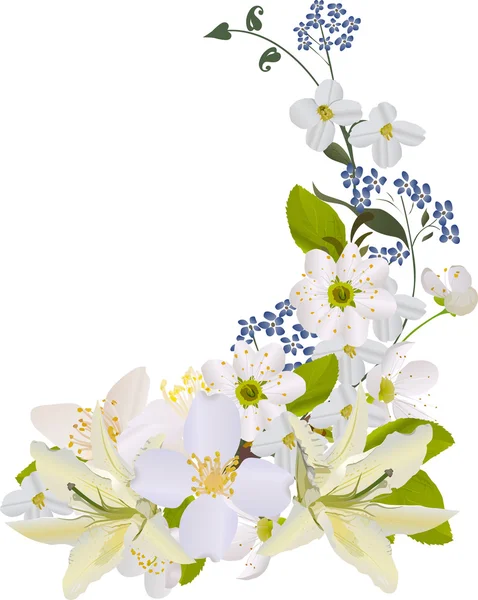 Boucle avec des fleurs de jasmin et de lis — Image vectorielle