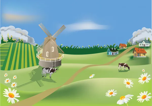 Land landskap med kor på fältet — Stock vektor