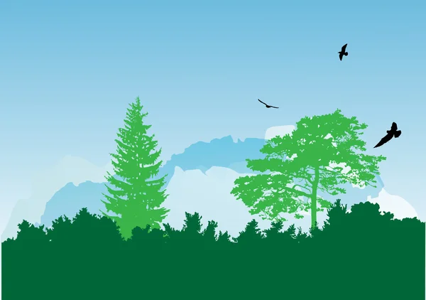 绿色森林上方的三个鸟 — 图库矢量图片