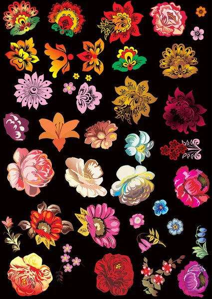 stock vector floral conventionalized elements on black