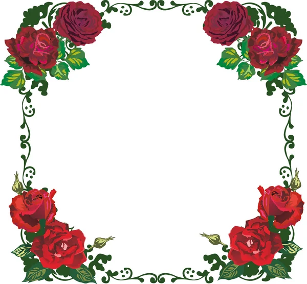 美しい隔離された赤いバラ フレーム パターン — ストックベクタ