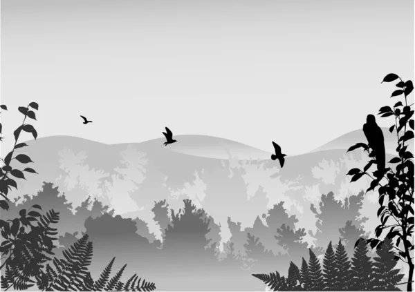 Šedý les a ptáci na obloze obrázku — Stockový vektor