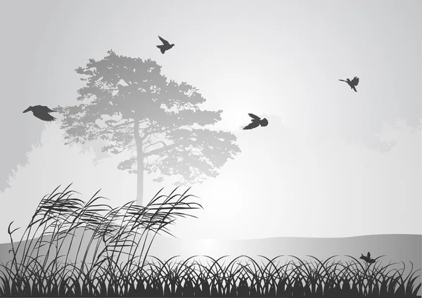 Pinheiro cinzento e pássaros no céu ilustração — Vetor de Stock