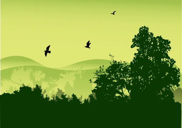 Gaviotas sobre bosque verde — Archivo Imágenes Vectoriales