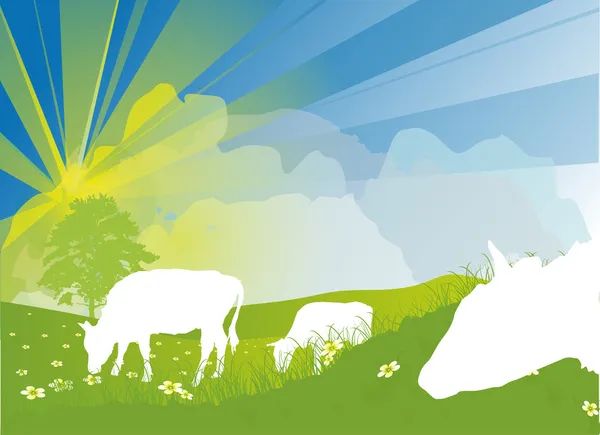 Cows on green field illustration — Stock Vector