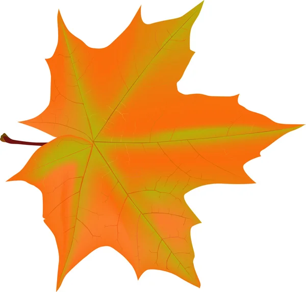 Ilustrasi dengan daun maple musim gugur - Stok Vektor