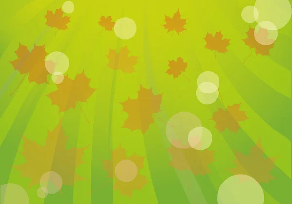 Esdoorn bladeren vallen op groene achtergrond — Stockvector