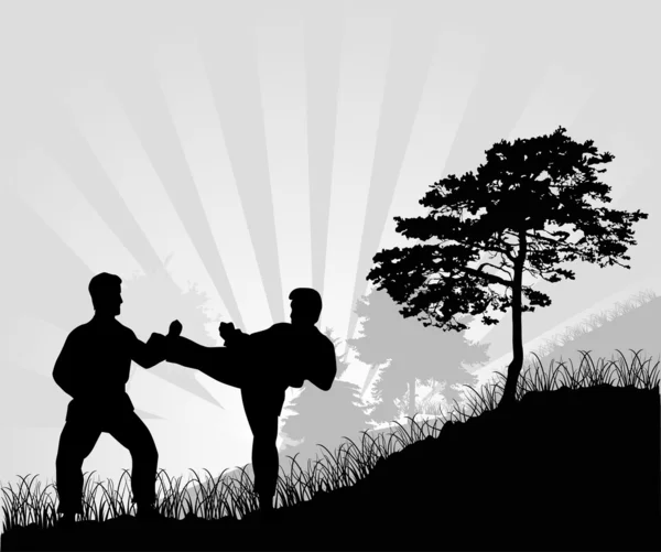 Fighting man silhouetten in gras — Stockvector
