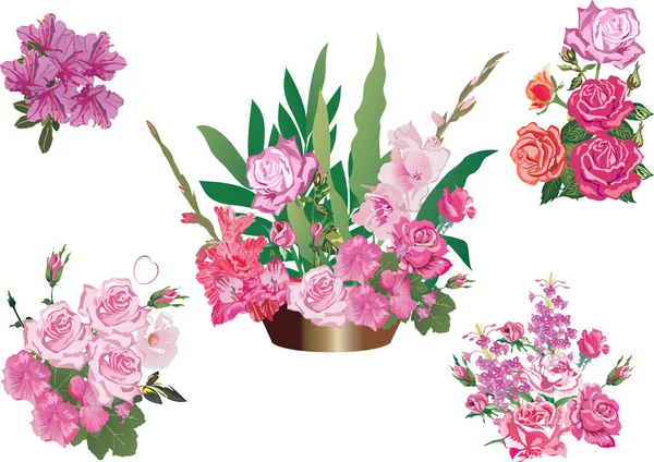 Cinq fleurs roses décoration isolée sur blanc — Image vectorielle