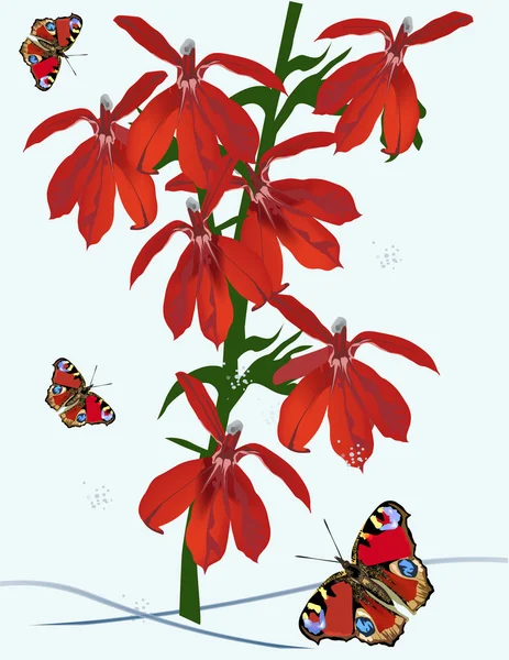 붉은 나비와 난초 그림 — 스톡 벡터