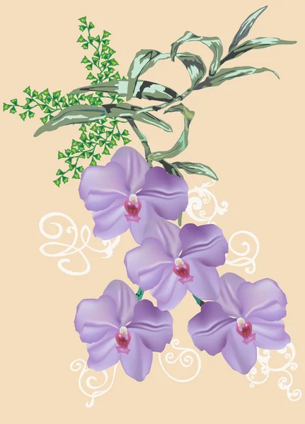Lila orkidé blommor på ljus bakgrund — Stock vektor