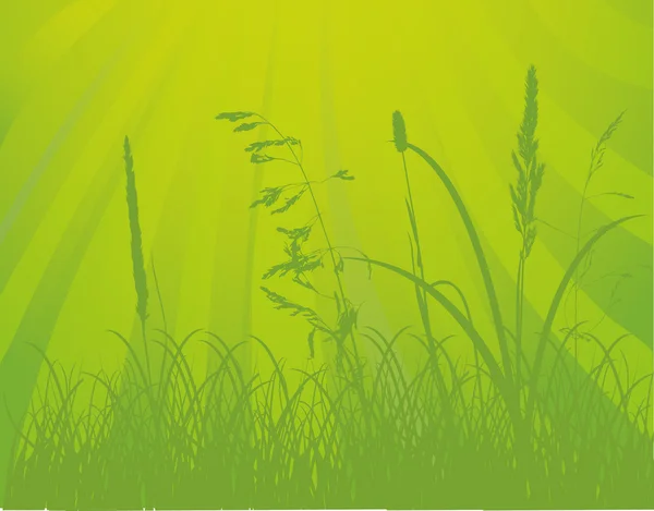 Зелений сонячний рослинний фон — стоковий вектор