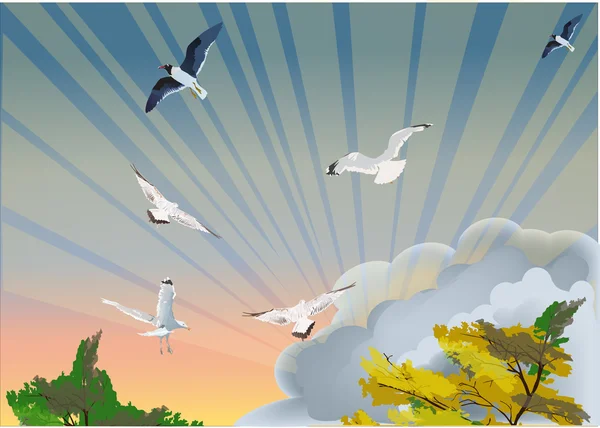 Ilustração com gaivotas coloridas e árvores — Vetor de Stock
