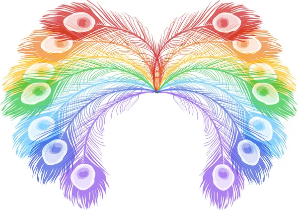 Rainbow peacock feathers on white — Stock Vector