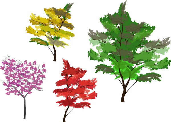 Négy szín a fák, elszigetelt fehér — Stock Vector