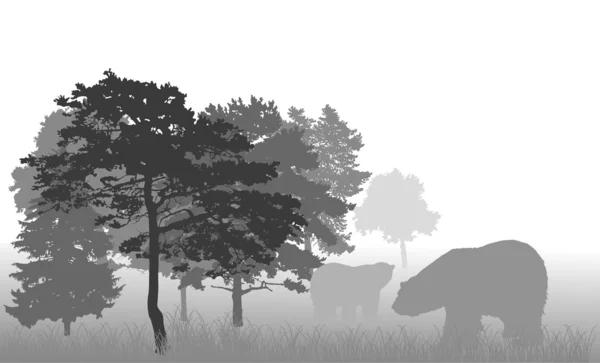 Ilustração com ursos cinzentos na floresta — Vetor de Stock