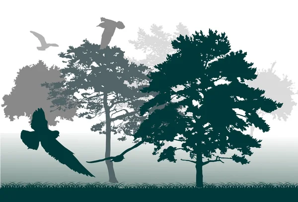 Träd och fåglar gröna silhuetter — Stock vektor