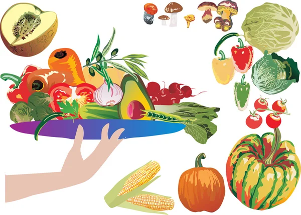 Ilustración de verduras maduras diferentes — Vector de stock