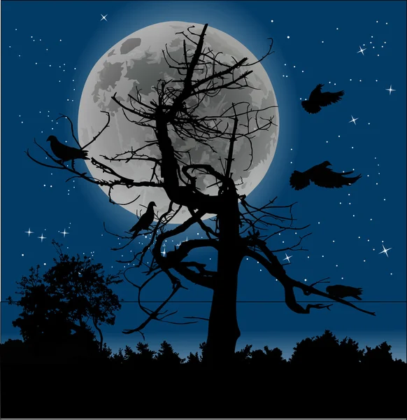 Oiseaux et arbres morts à la pleine lune — Image vectorielle