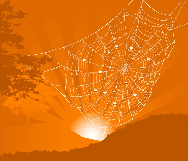 Tree and spider web at sunset — Stock Vector