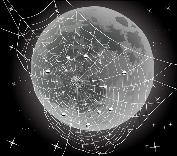 Spider web and drops on moon background — Stock Vector
