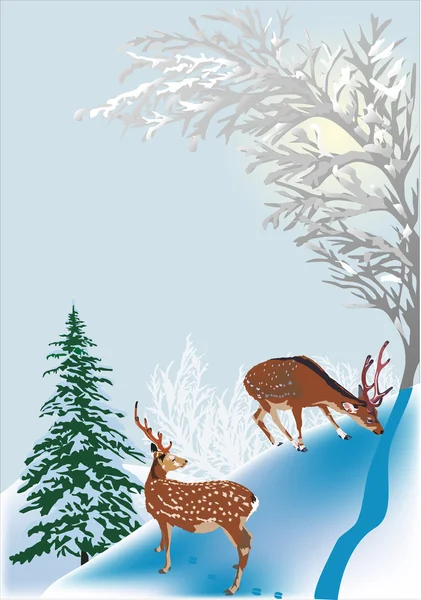 Deux cerfs entre les arbres d'hiver — Image vectorielle